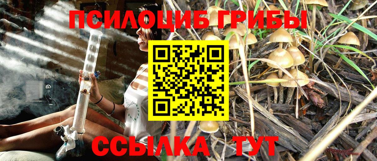 Псилоцибиновые грибы Psilocybe  Вход с VPN  Озёрск  Псилоцибиновые грибы MAGIC MUSHROOMS 
